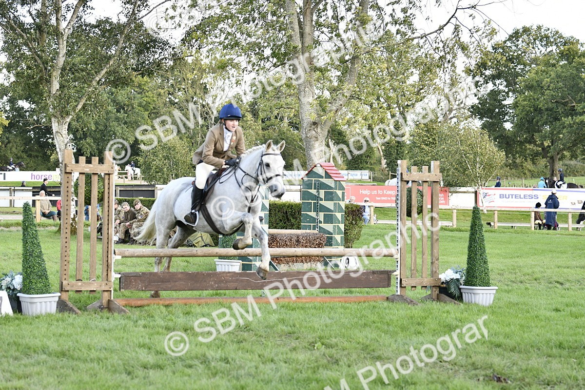 SBM_52147 - S35 - Working Hunter & Working Show Horse