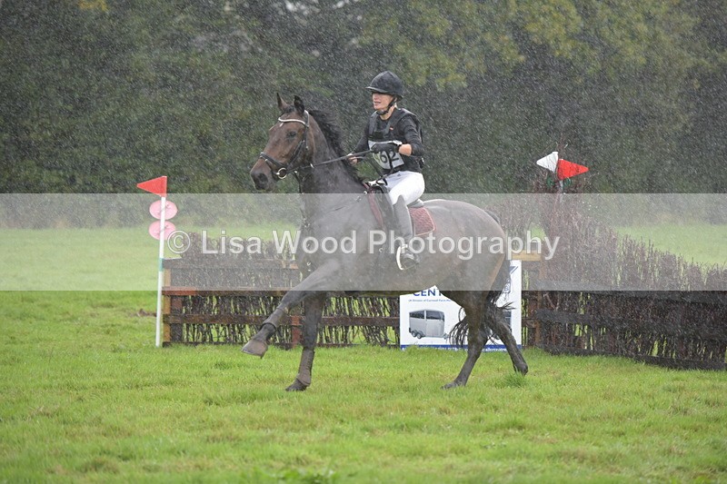 RAY_0413 - Class 4: 80cm: Double of Brushes