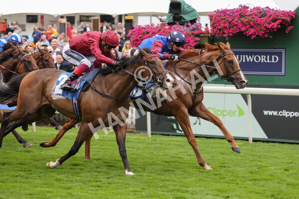 yr19082021r3-36 - Race 3 3.00pm Clipper Logistics Stakes