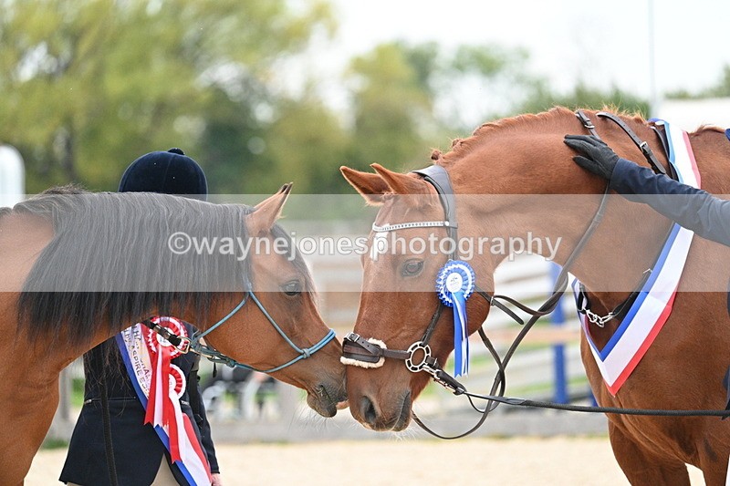 WJ7_1983 - Class 1 & Champs