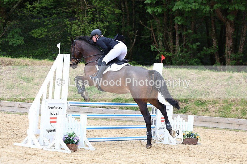 3E7A6111 - Class 4: Senior British Novice/90cm open