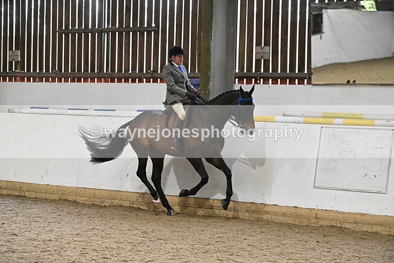 WJ7_4292 - Class 17 Ridden Cob