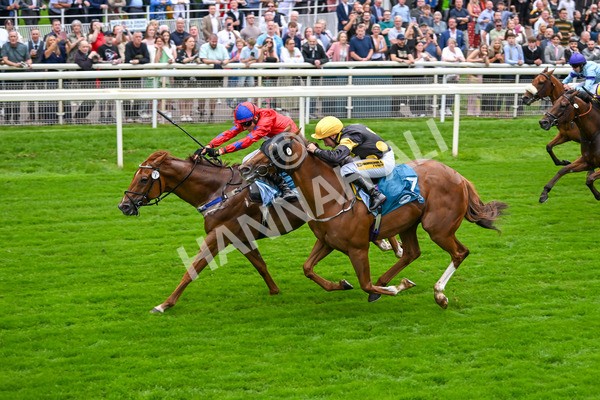 080925-Race 2-Alzahir-7432 - Race 2 3.00pm Sky Bet Super Sub Sprint Handicap