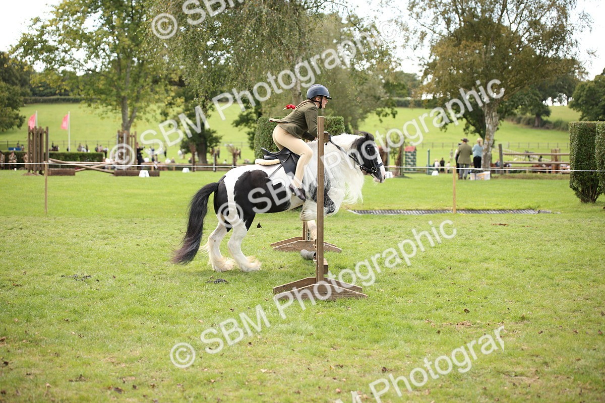 SBM_42363 - S13 - Pony Club Pony