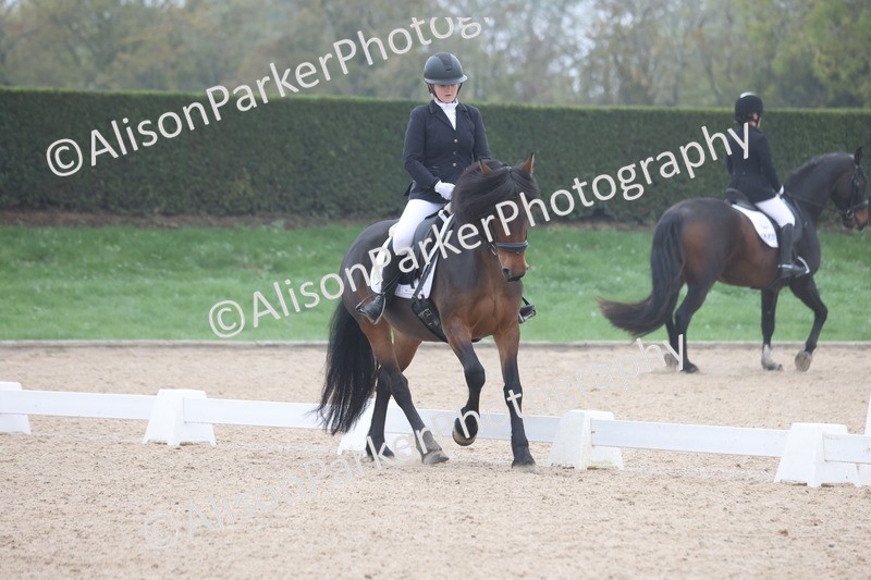 20251012-0430 - Class 3 - Novice 5