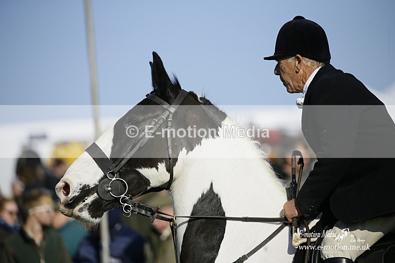 PtP 190322 675 - Wilton Hunt PtP Milborne St Andrew 19/03/22
