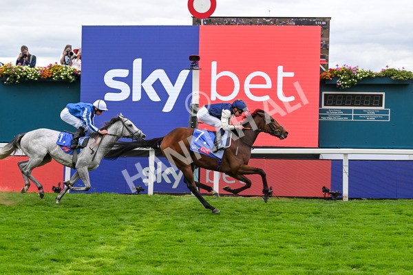 210825-Race 1-Royal Fixation-3626 - Race 1 1.50pm Sky Bet Lowther Stakes
