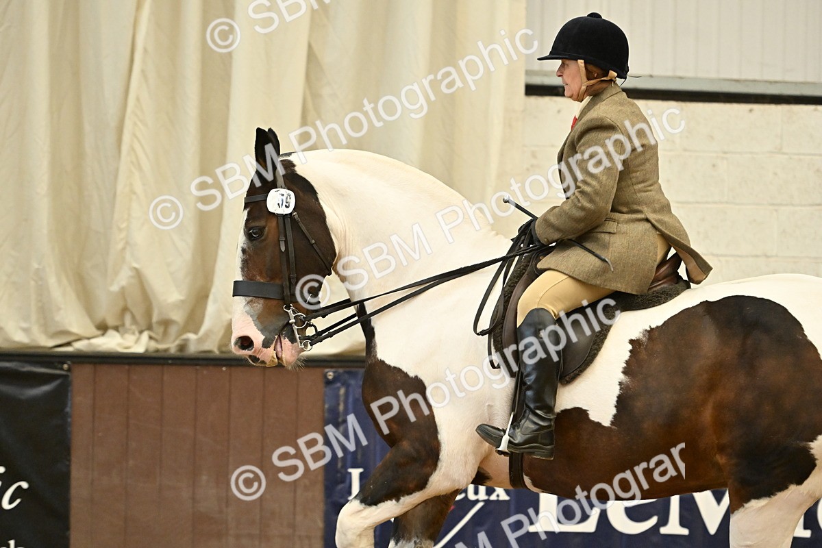 SBM_002025 - Class 21 - BSHA Ridden Show Cob