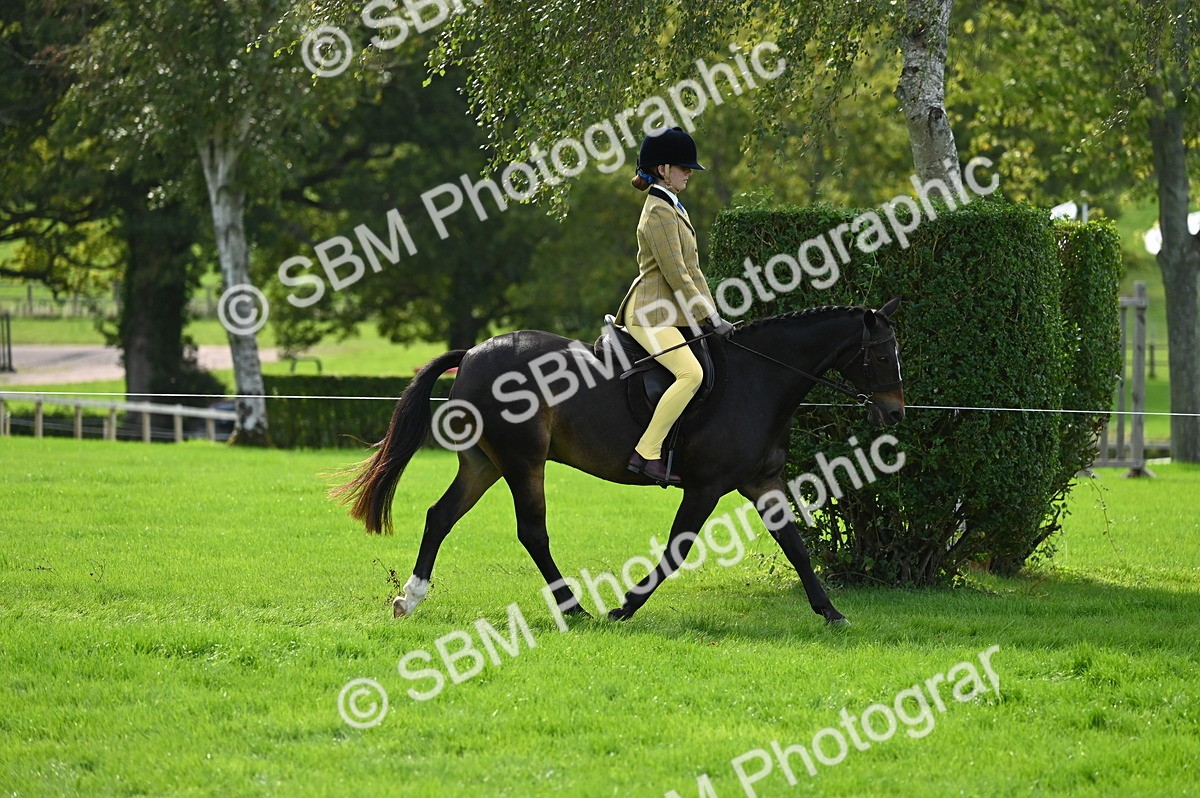 SBM_02611 - S3 - TSR Ridden Pony Showing