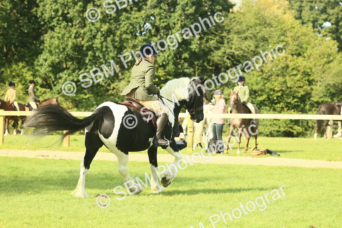 SBM_68806 - S58 - Mini Show Cob Ridden