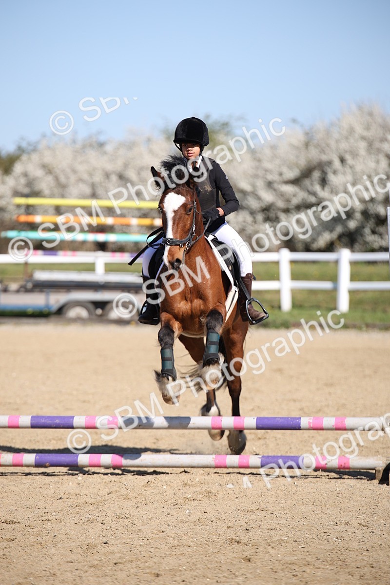 SBM_000542 - Class 2 - 50cm