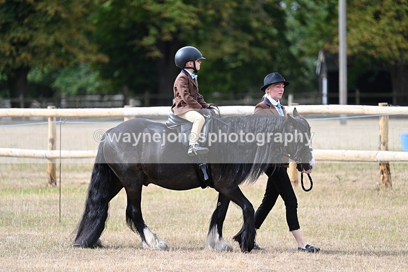 WJ7_6413 - Class 1 Lead Rein Pony