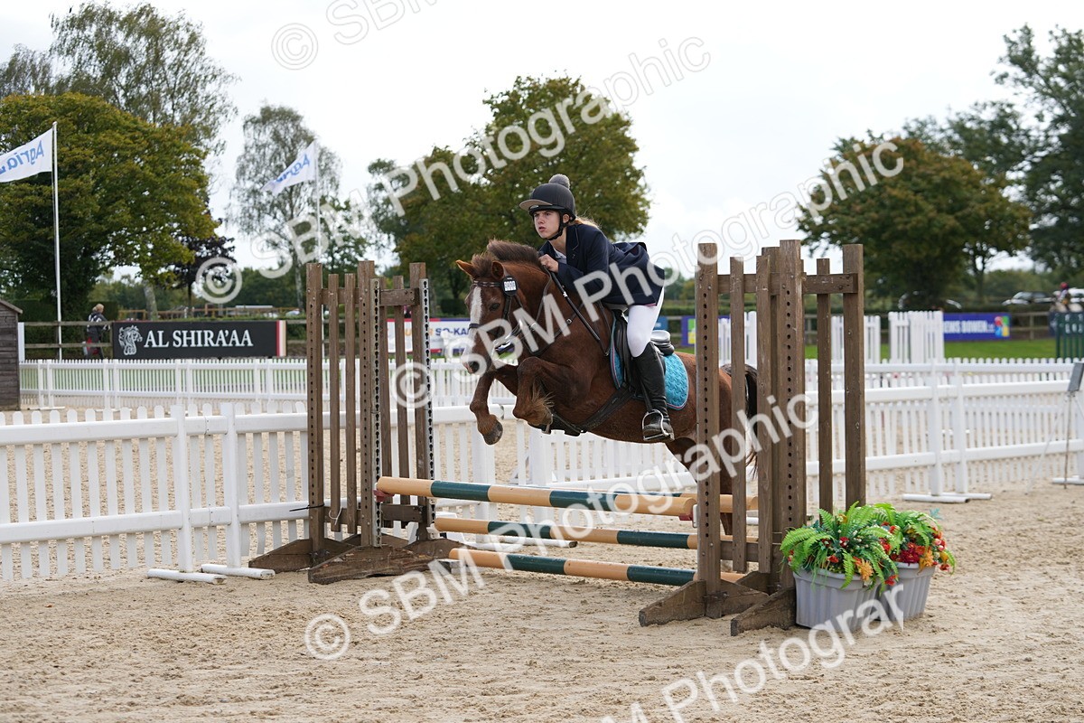 SBM_40817 - Supreme Championship Pony 50-55cm
