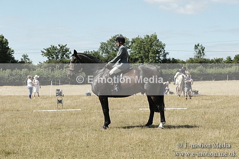 _PJP5827 - Dressage Classes BVRC Show 2018