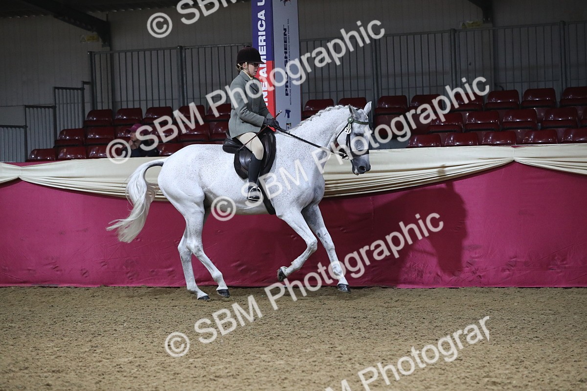 SBM_10388 - Class 102 Equitation (best rider) Adult