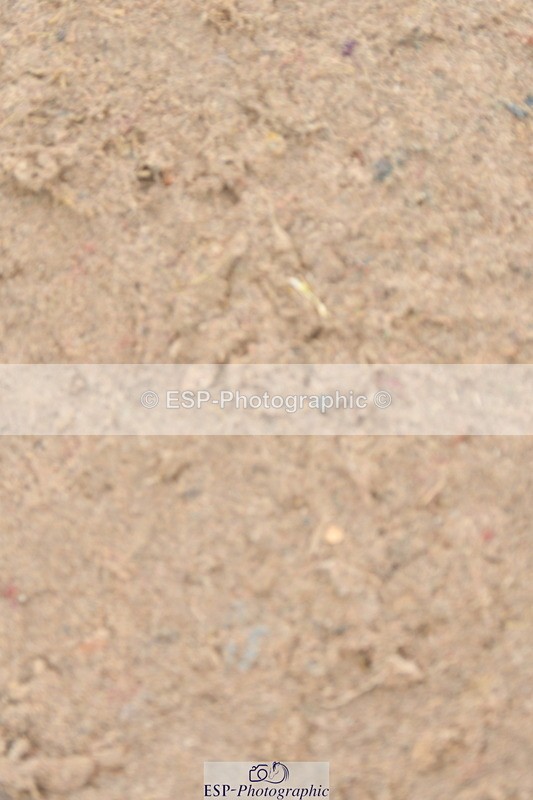 230511A-160701-01302 - BD Cls 18 FEI PSG