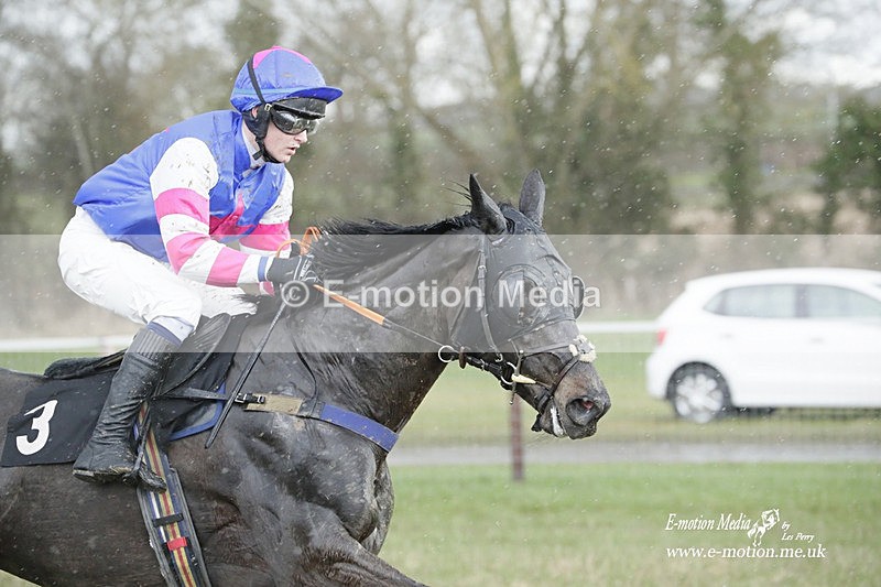 PtP 180323 1164 - Shelfield Park Races with Croome & West Warwickshire Hunt  18/03/23