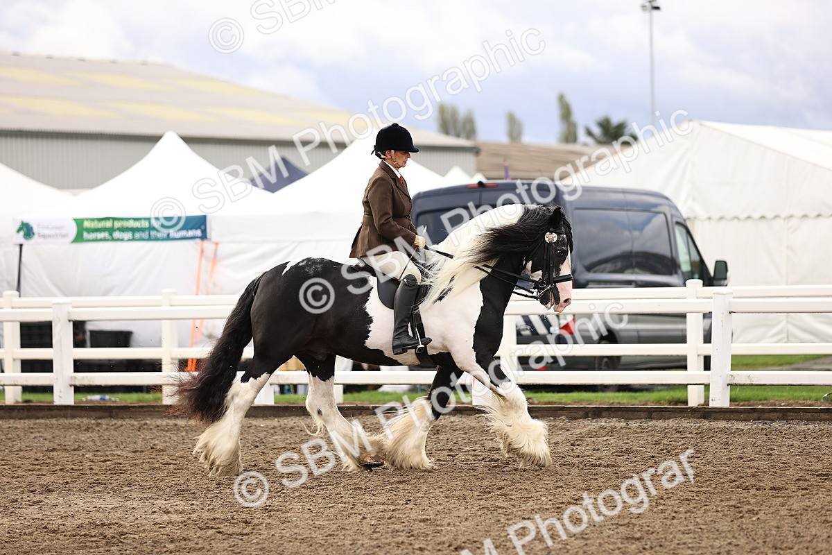 SBM_00222