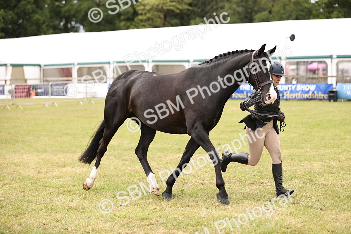 SBM_14612 - Class 88-89 - LIHS BSHA Rising Star of Ridden Hunter Type