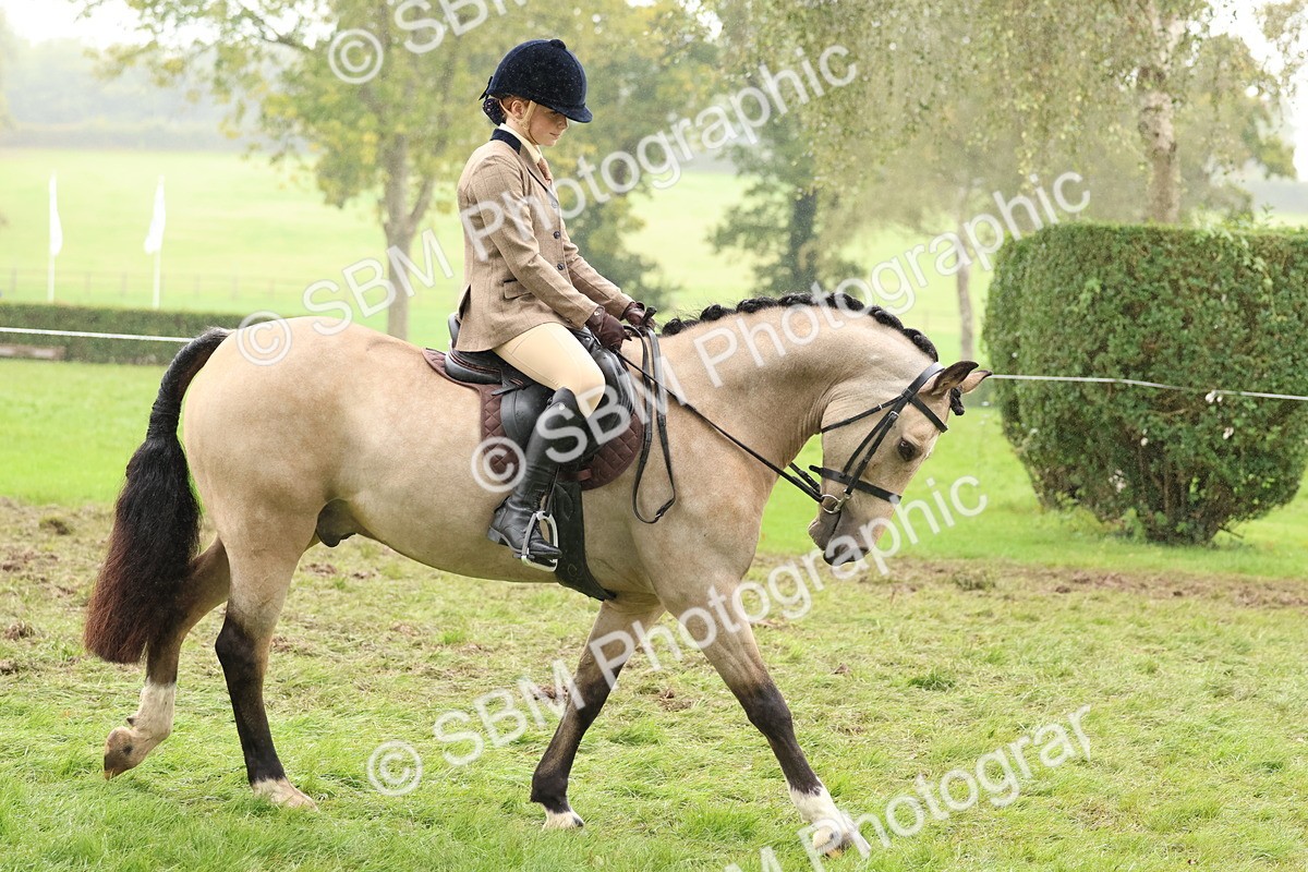SBM_72968 - S63 Show Pony & Show Hunter Pony Ridden