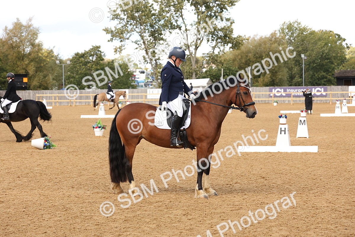 SBM_47455 - D12 - Small Tour Championship prelim 2