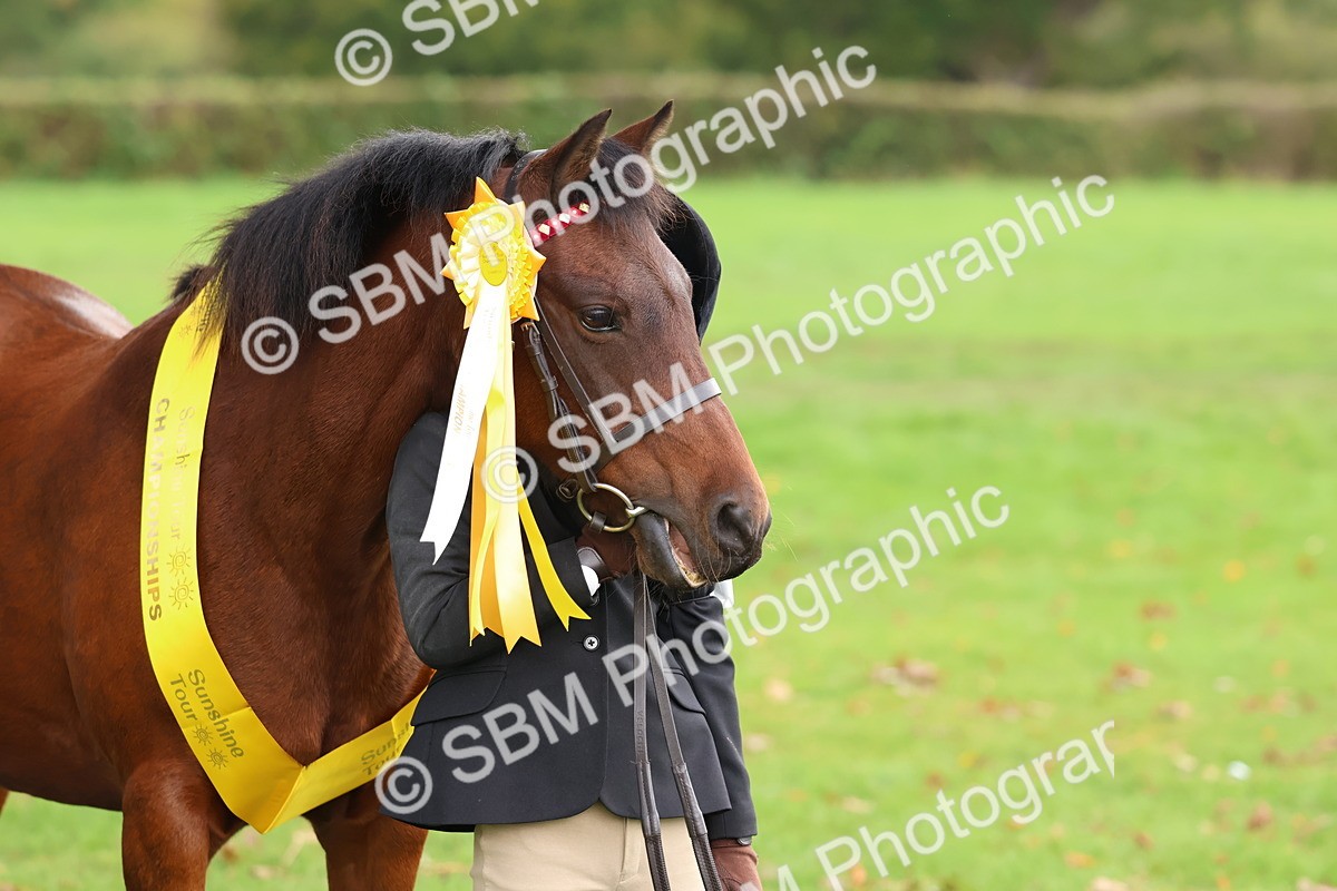 SBM_39372 - S24 - Young Veteran In Hand