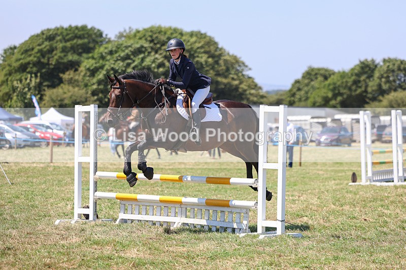 3E7A4439 - Class 10: Senior British Novice/90cm open
