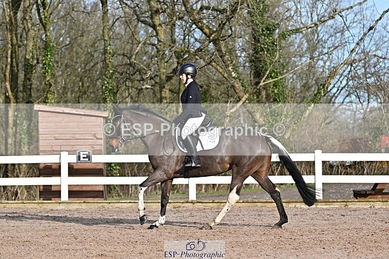 250125-104838-00239 - Dressage - CT Class 4 BE95 (80cm)