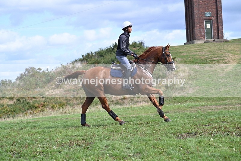 WJ7_1419 - Time 12:34 to 13:16