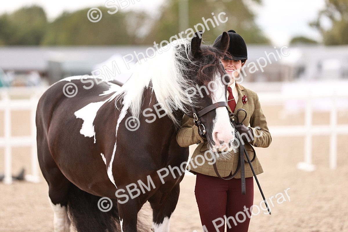 SBM_18433 - Class 419 - Best Maine and Tail - Jnr