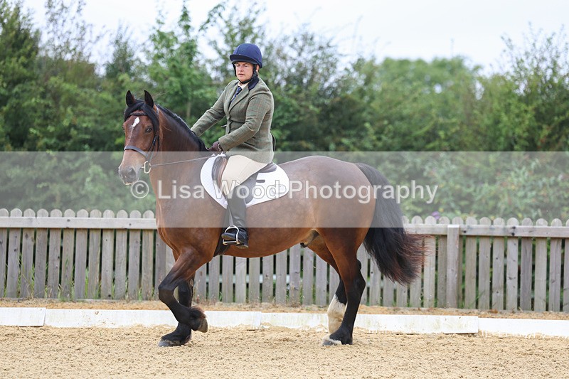 3E7A4575 - Class 1: Intro 4 2024 section A