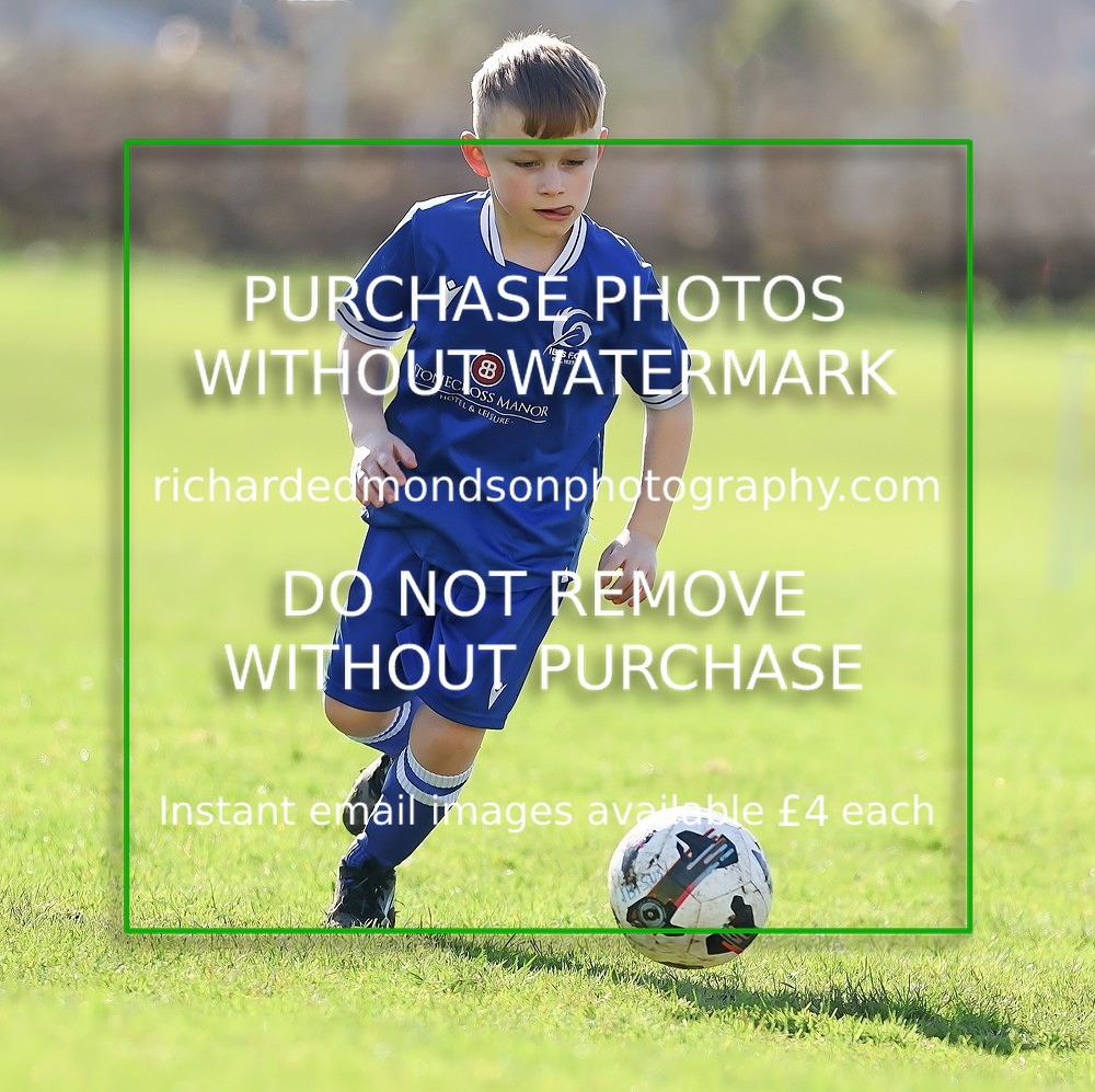 533A7843 - Ibis Under 8's (14/3/26)