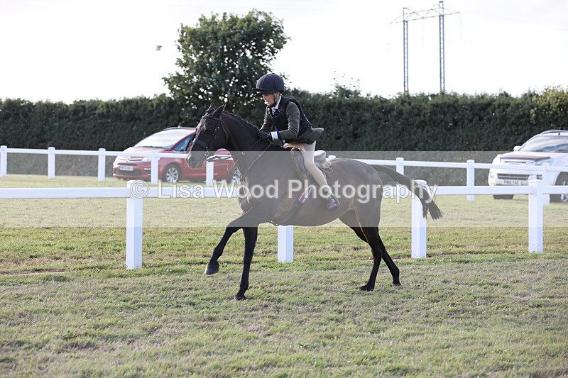 JPP_3754 - Working Hunter Championship