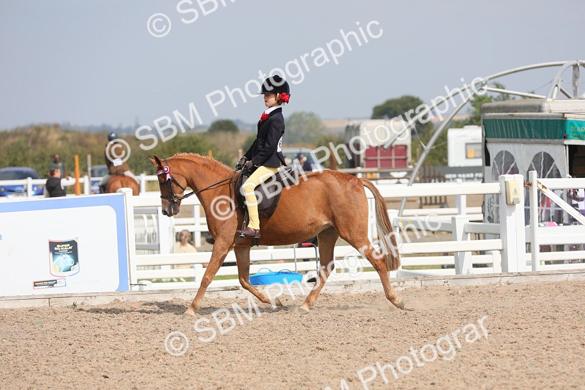 SBM_14726 - Class 310 First Ridden Pony