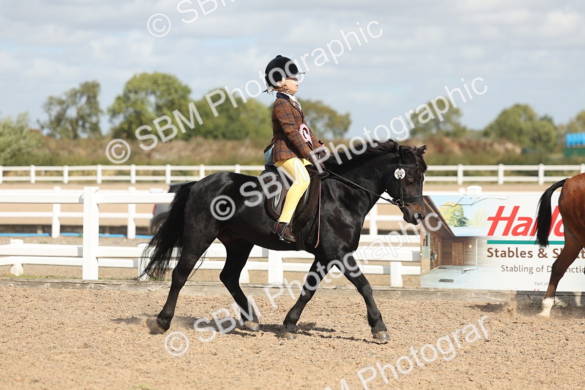 SBM_23200 - Class 806 - Young Rider 10ry and Under