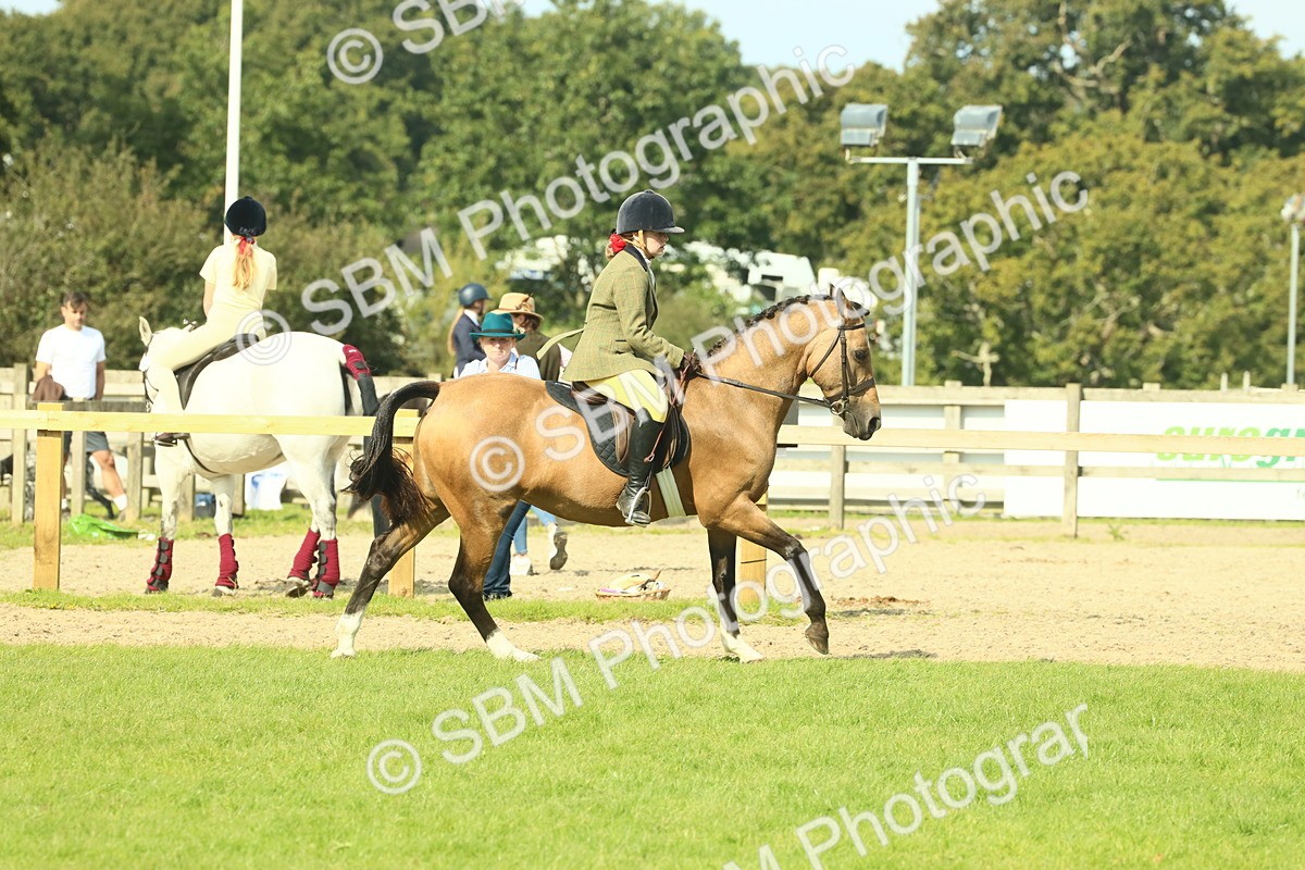 SBM_68865 - S58 - Mini Show Cob Ridden