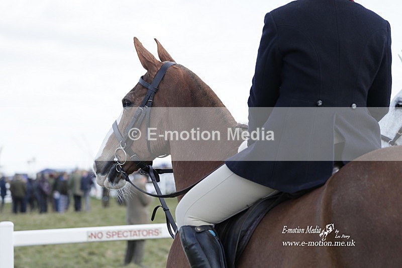 PtP 260223 772 - South & West Wilts Point-to-Point Larkhill 26/02/23