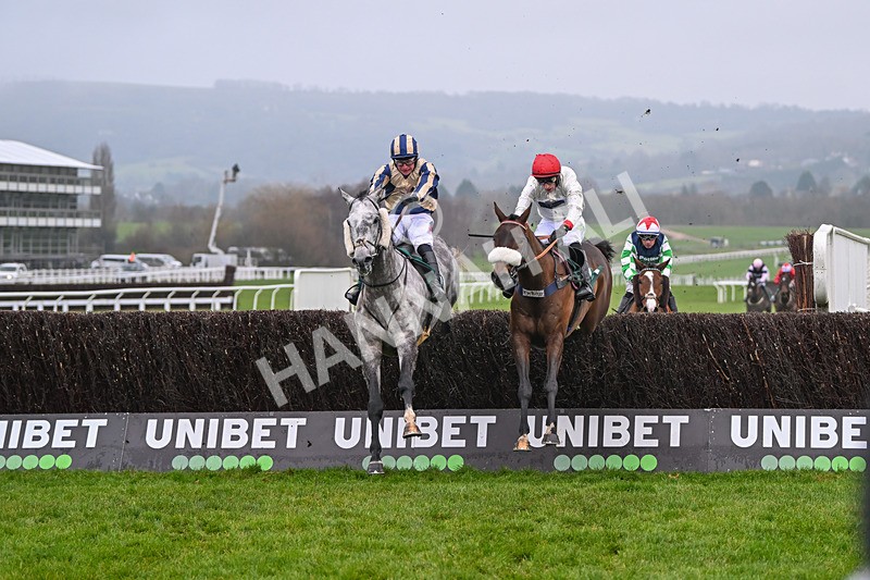 131224-Race 4-King Turgeon-9143 - Race 4