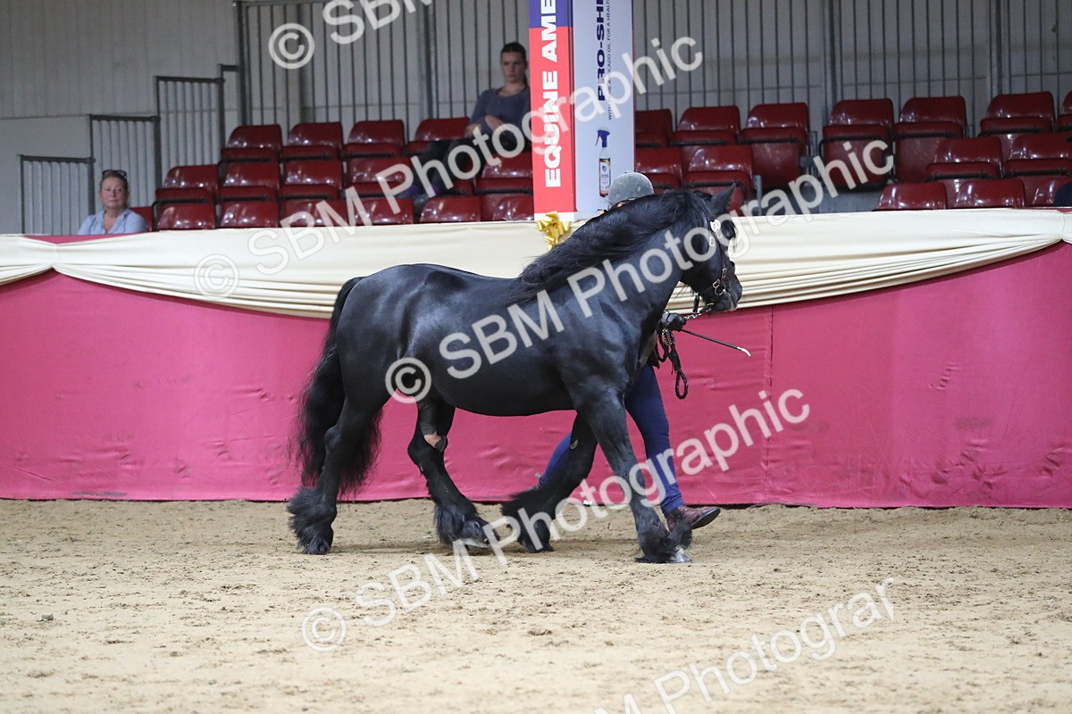 SBM_04989 - Class 8R- Regional -IH Veteran