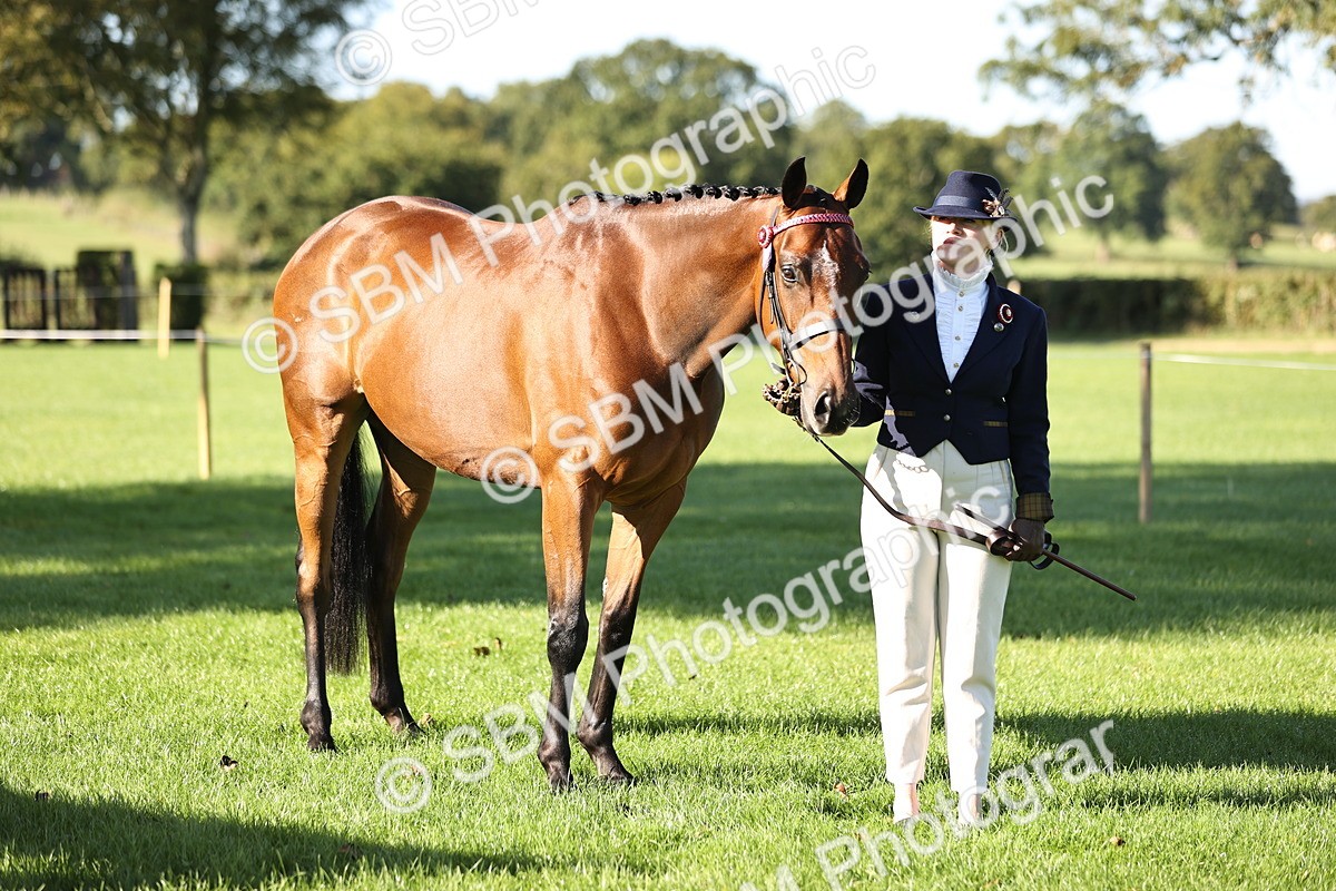 SBM_15782 - S1 - TSR in Hand Horse & Pony Showing