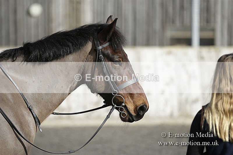 BVRC 050320 0066 - Bourne Valley riding Club Show Jumping Tidworth 08/03/20