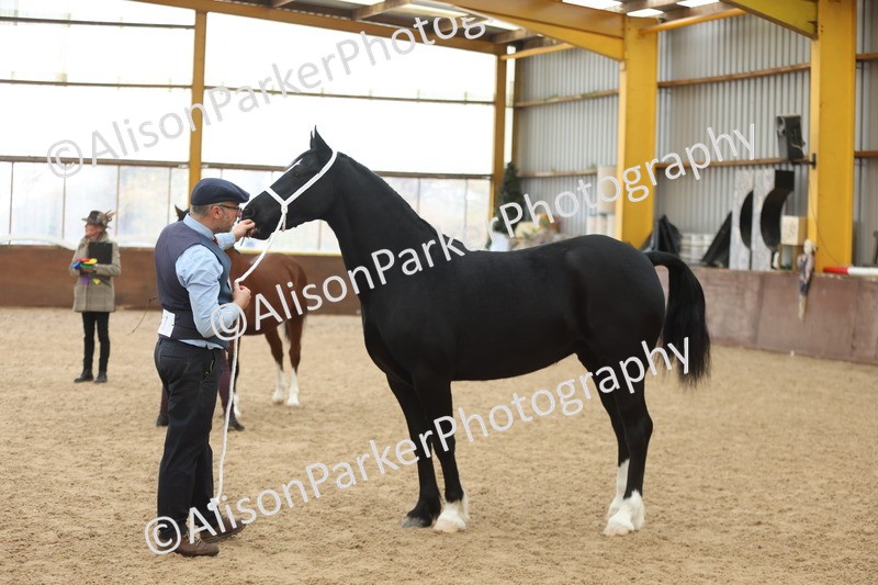 20251109-0949 - Class 26 - 2 and 4 Year Olds