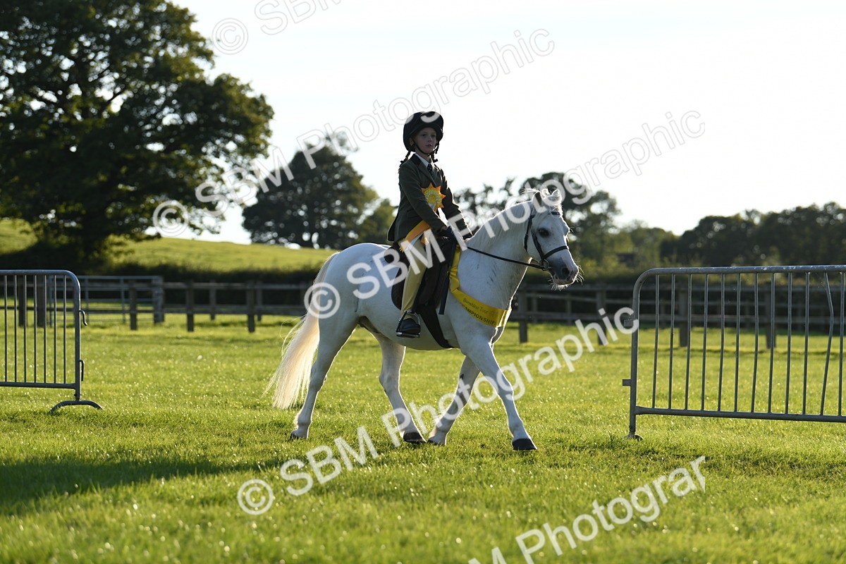 SBM_54207 - S23 - 1st Ridden Mountain & Moorland Pony