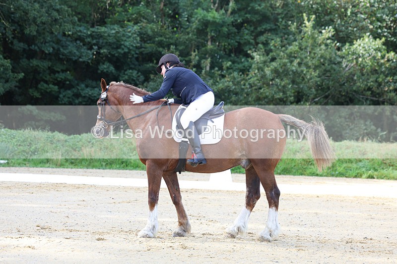 3E7A2286 - Class 1: Intro 4 2024 section A