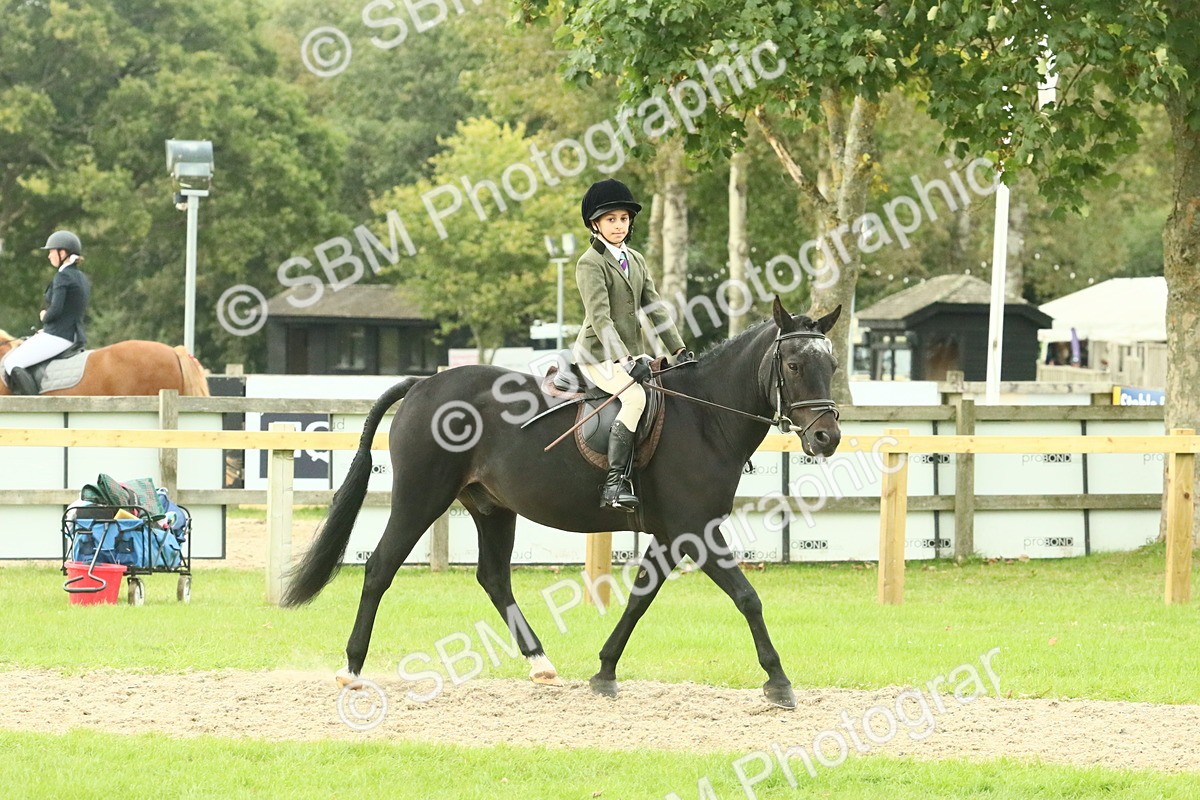 SBM_73983 - S 61 - Show Pony & Show Hunter Pony Ridden