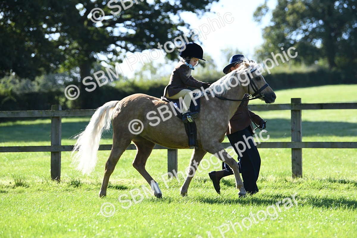 SBM_36825 - S18 - Novice & Newcomers Lead Rein Pony
