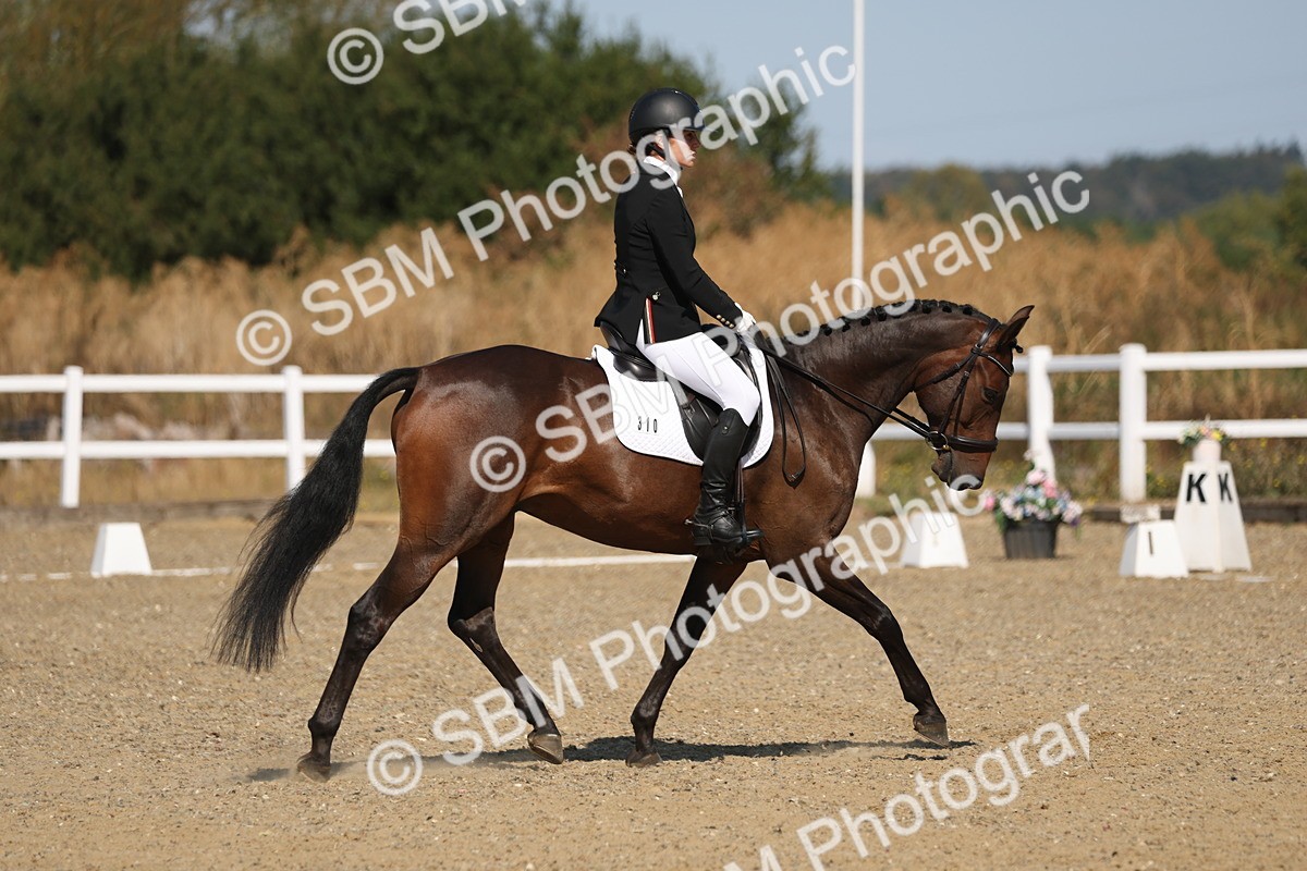SBM_013449 - Class 1 - P5 Bronze 10.38.12.02