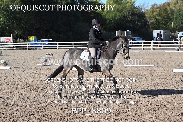 BPP_8809 - LONG ARENA
