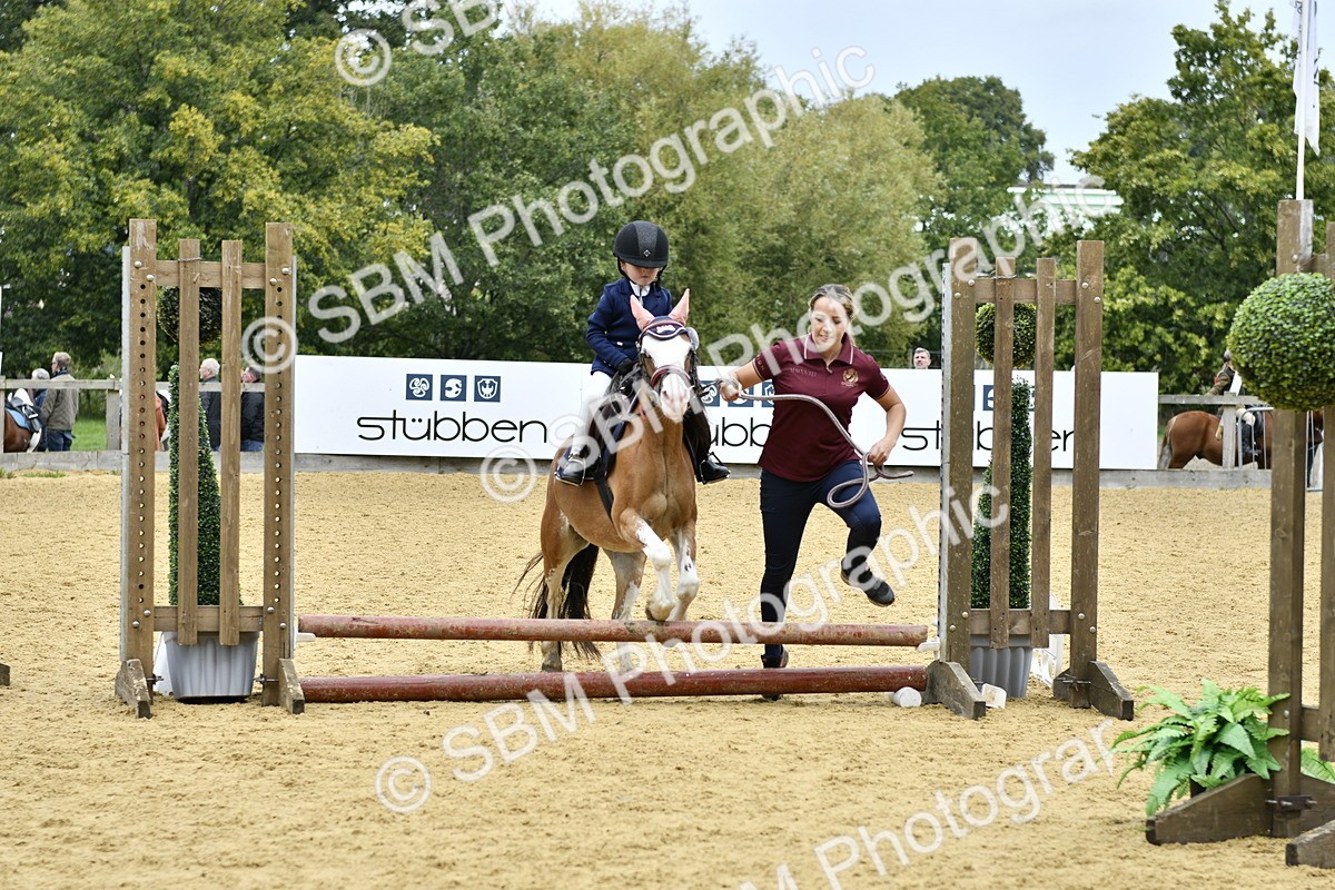 SBM_62774 - J1 - Mini Tour Junior Pony Lead Rein 30cm Championship