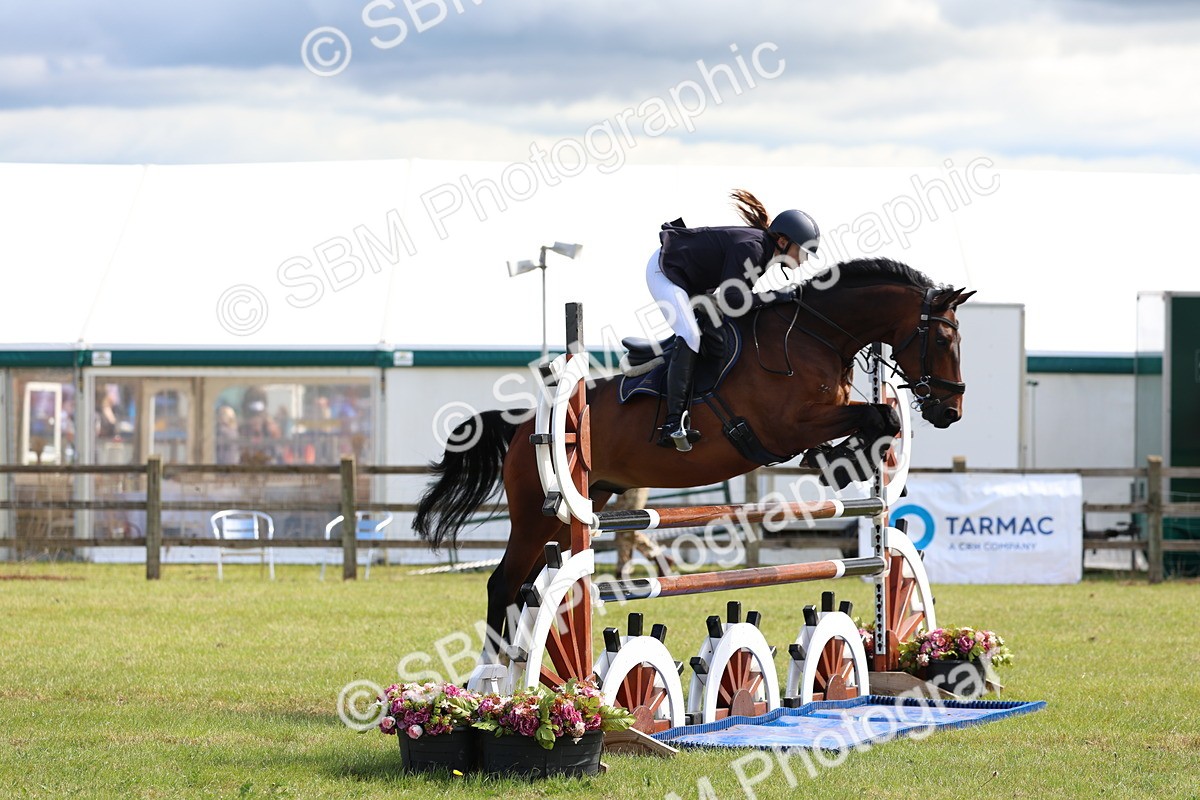 SBM_13510 - Class 206 - Senior Newcomers - 1.10m Open